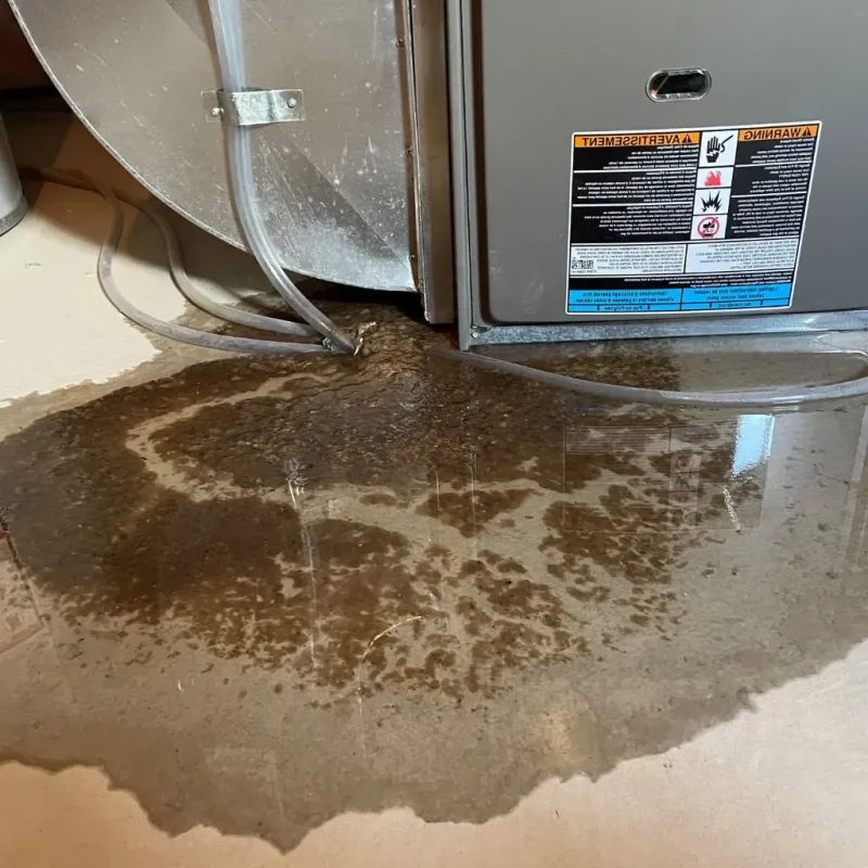 Pipe Burst and Leak Restoration in Seminole, TX