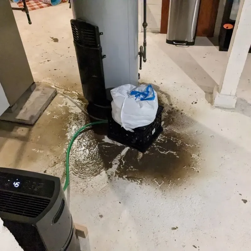 Sewage Backup Cleanup Service in Seminole, TX